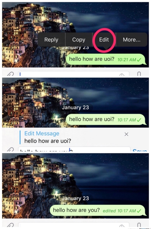 Telegram是否允許離線下載？